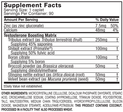 TEST HD BY MUSCLETECH